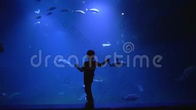 小男孩在一个巨大的海洋馆的玻璃后面探索大海的美丽和它的居民